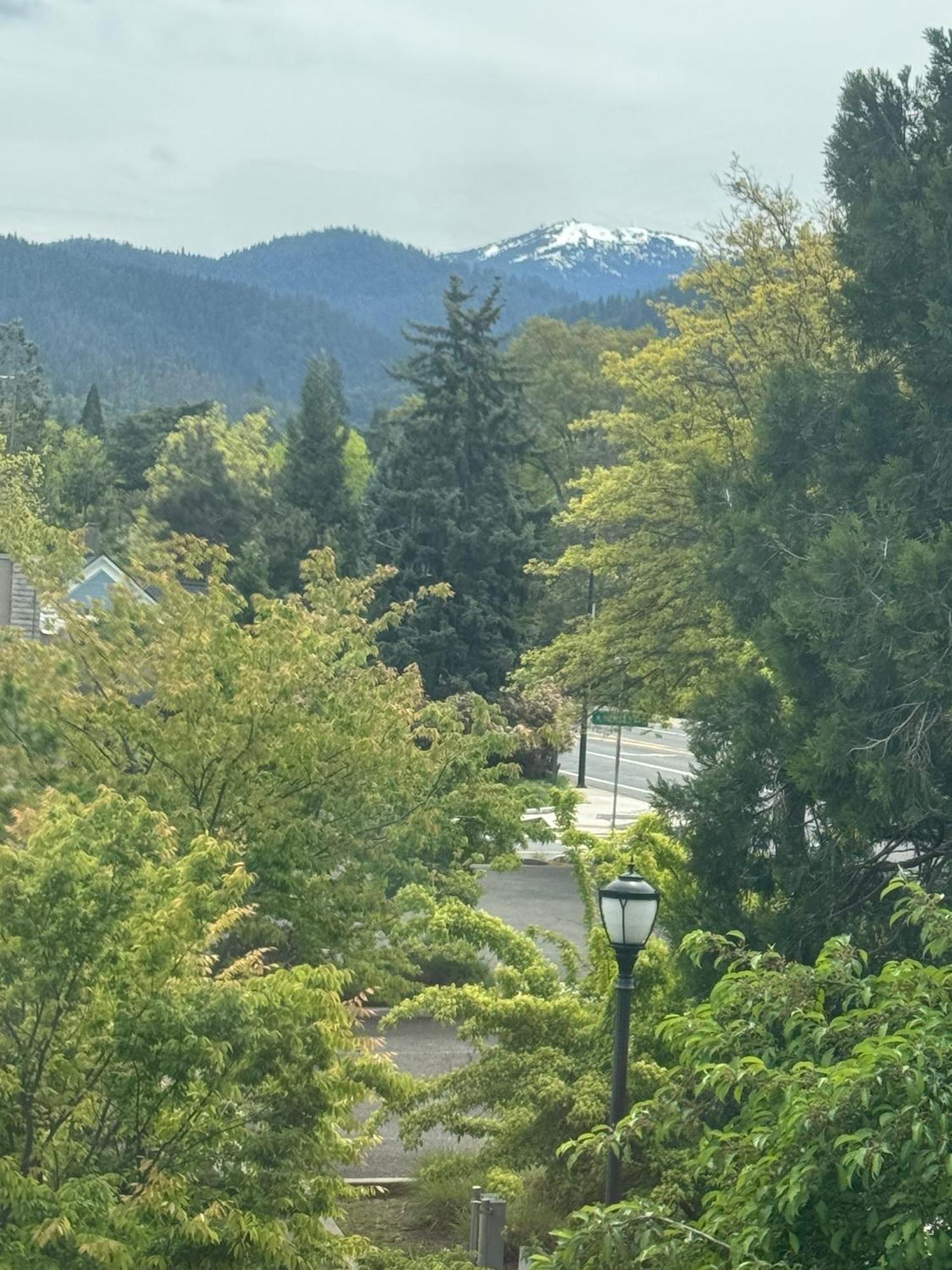 אשלנד Bayberry Inn B&B And Oregon Wellness Retreat מראה חיצוני תמונה